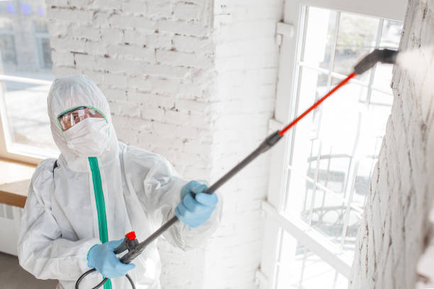 Best Commercial Mold Inspection  in Rio Grande, NJ